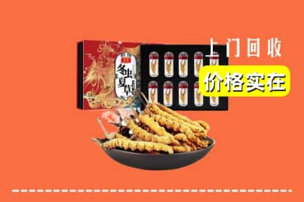 曲靖市师宗回收冬虫夏草